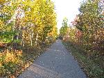 Trail